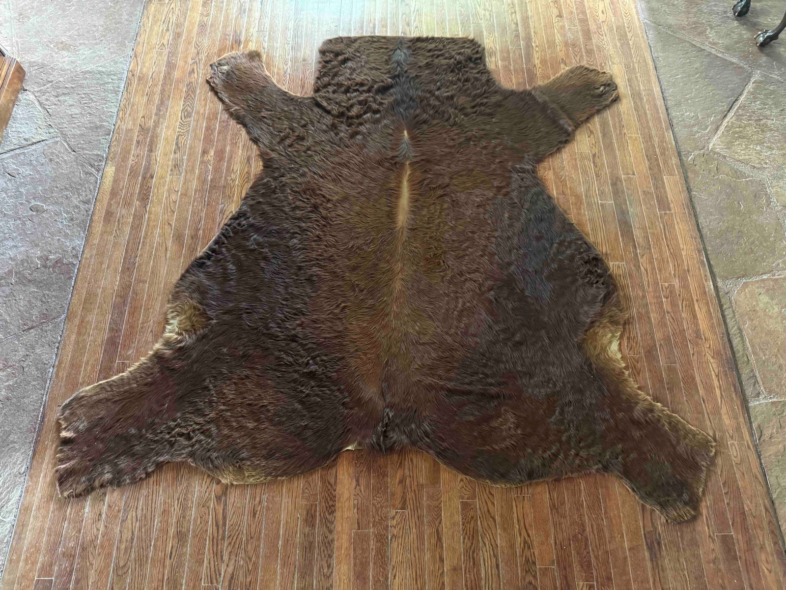 Vintage Brown Bear Hide Rug - 2