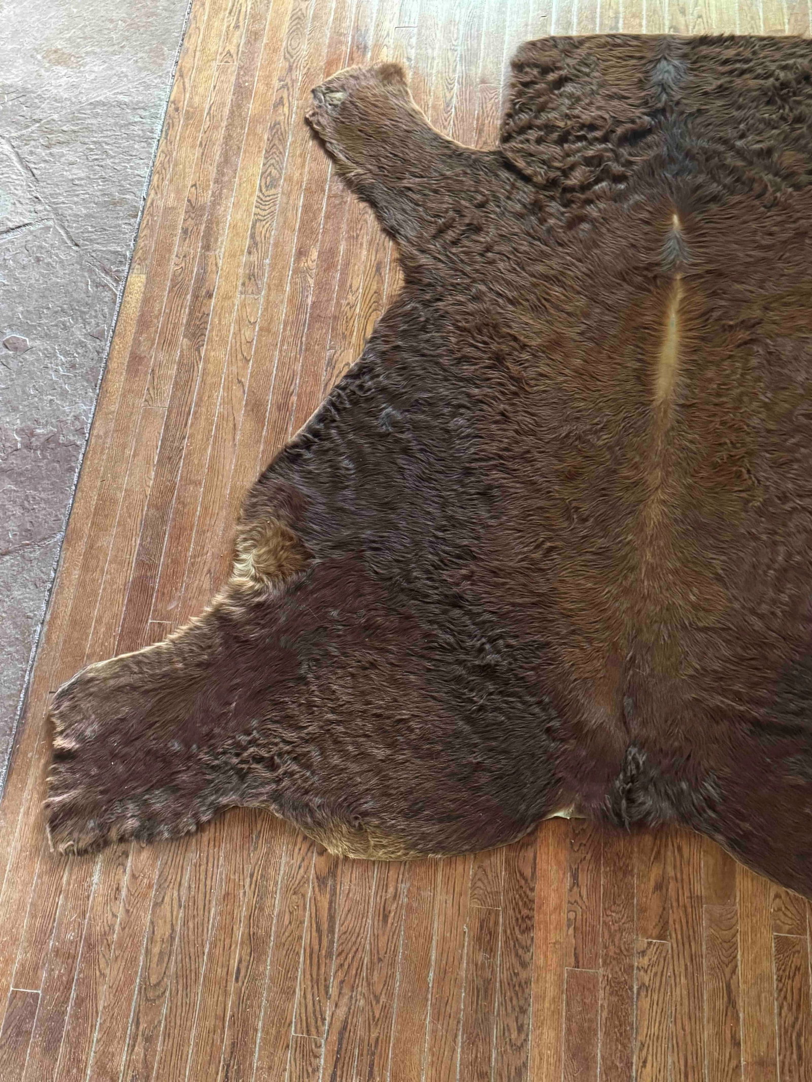 Vintage Brown Bear Hide Rug - 3