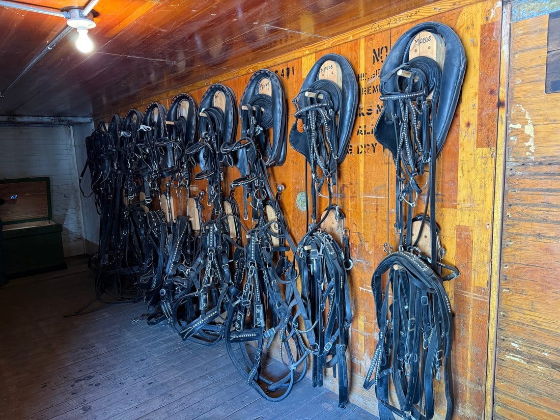 Collection of Twelve Amish Made Vintage Leather Mule Harnesses with Studded Accents - 2