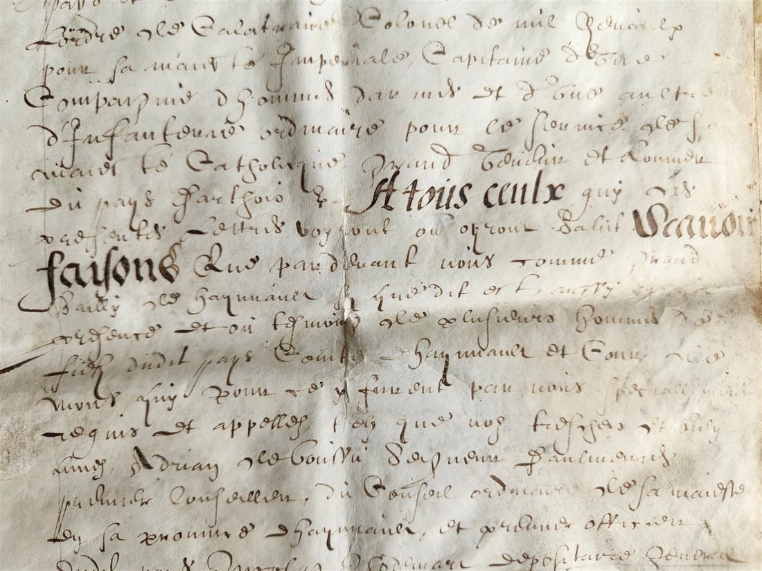 17th century MANUSCRIPT on VELLUM ANTIQUE LEGAL DOCUMENT in FRENCH 24 pages - 18