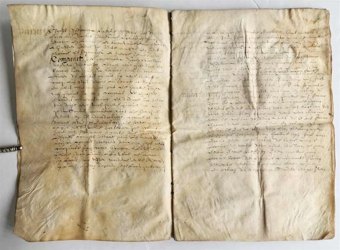 17th century MANUSCRIPT on VELLUM ANTIQUE LEGAL DOCUMENT in FRENCH 24 pages - 5