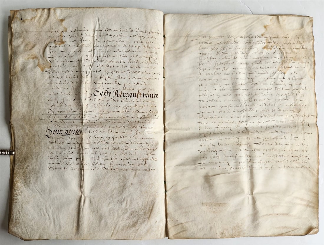 17th century MANUSCRIPT on VELLUM ANTIQUE LEGAL DOCUMENT in FRENCH 24 pages - 6