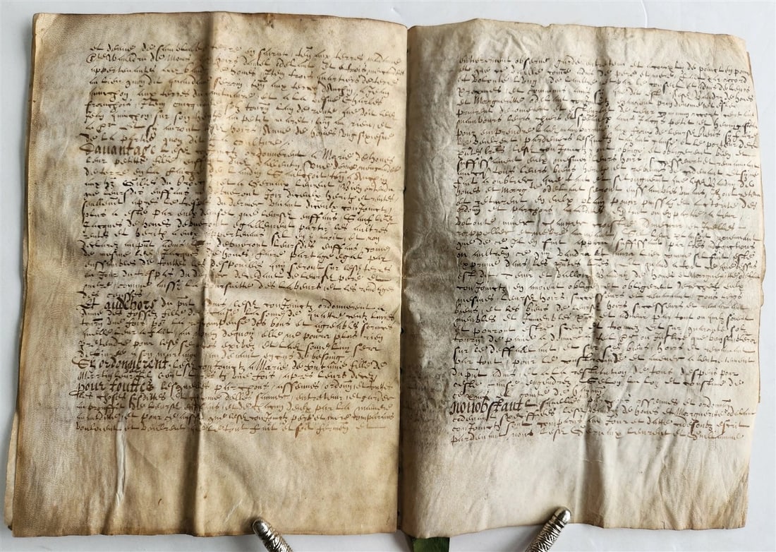 1617 MANUSCRIPT on VELLUM ANTIQUE LEGAL DOCUMENT in Spanish 24 pages - 10