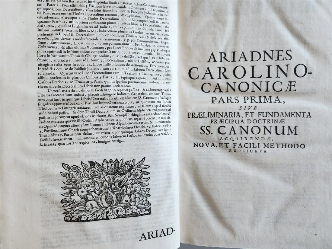 1708 CANON LAW by Jakob Wex antique PIGSKIN BOUND FOLIO in LATIN - 5