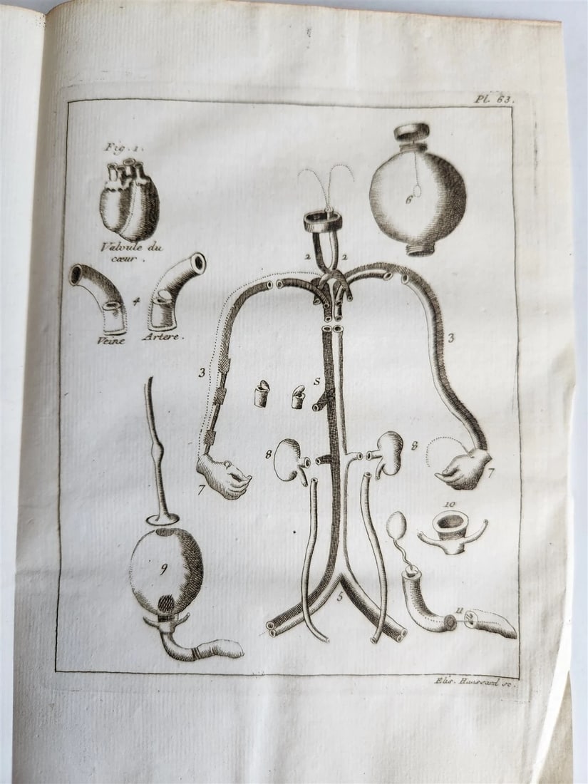1750 MEDICAL TREATISE ILLUSTRATED ANATOMY by Francois PLANQUE antique V. 3 - 14