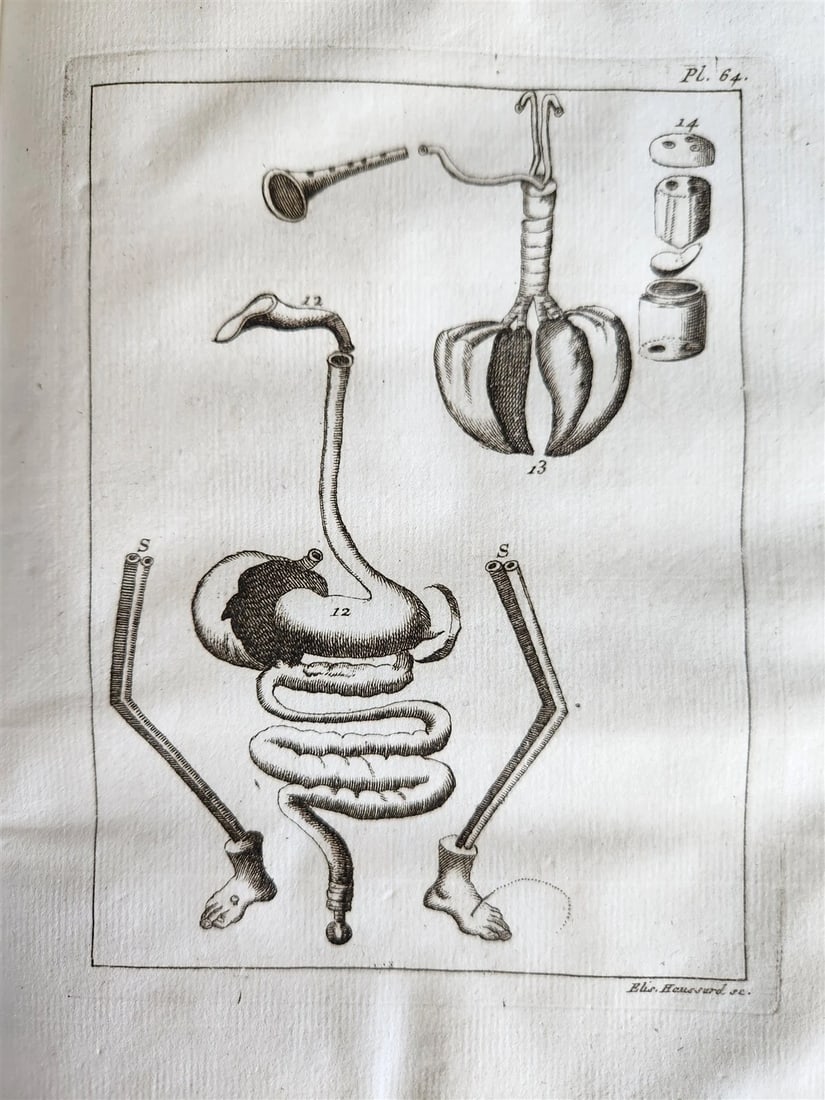 1750 MEDICAL TREATISE ILLUSTRATED ANATOMY by Francois PLANQUE antique V. 3 - 15