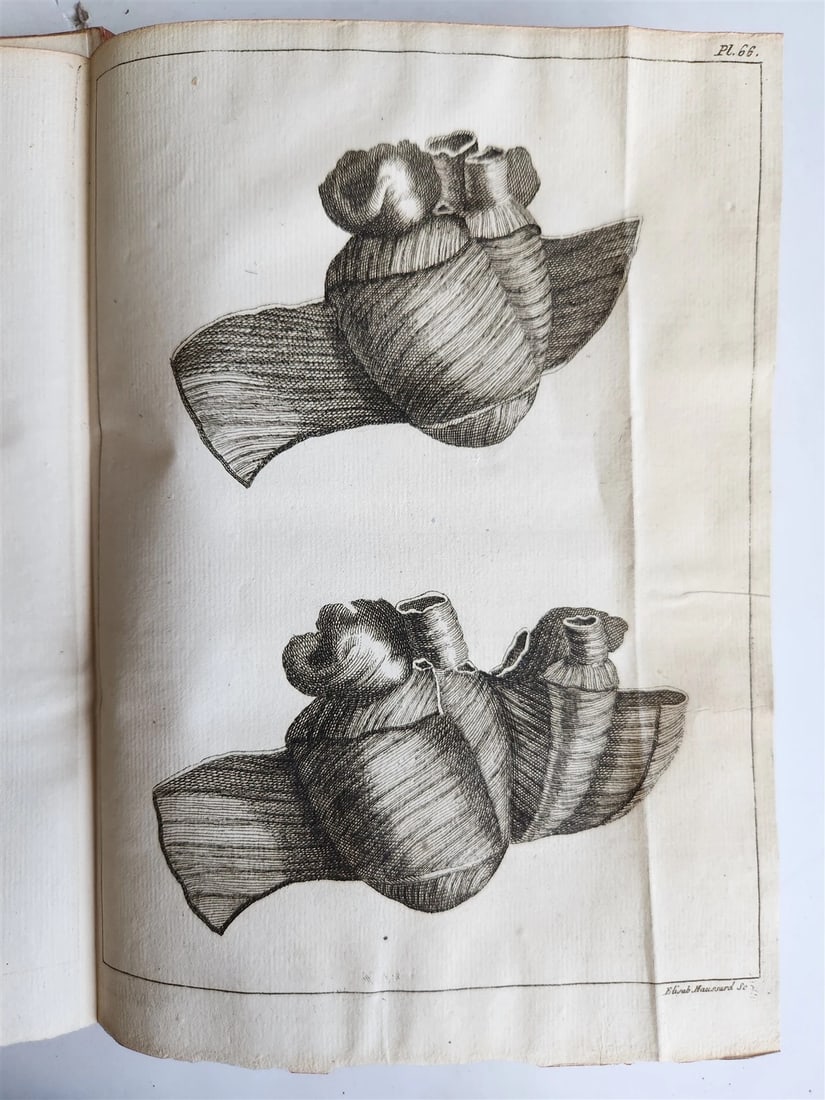 1750 MEDICAL TREATISE ILLUSTRATED ANATOMY by Francois PLANQUE antique V. 3 - 17