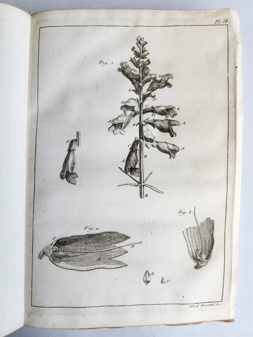 1750 MEDICAL TREATISE ILLUSTRATED ANATOMY by Francois PLANQUE antique V. 3 - 9