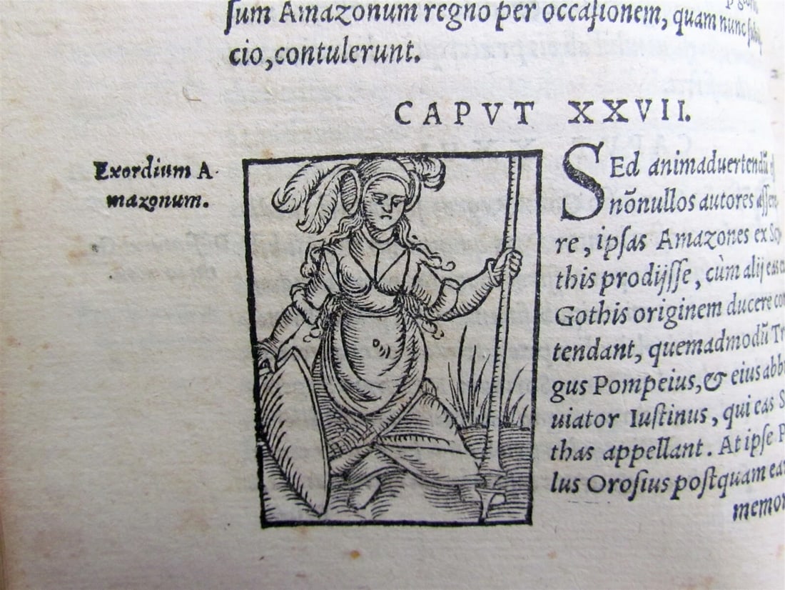 1558 SCANDINAVIA SWEDEN ILLUSTRATED HISTORY Gothorum Sveonumque historia antique - 10