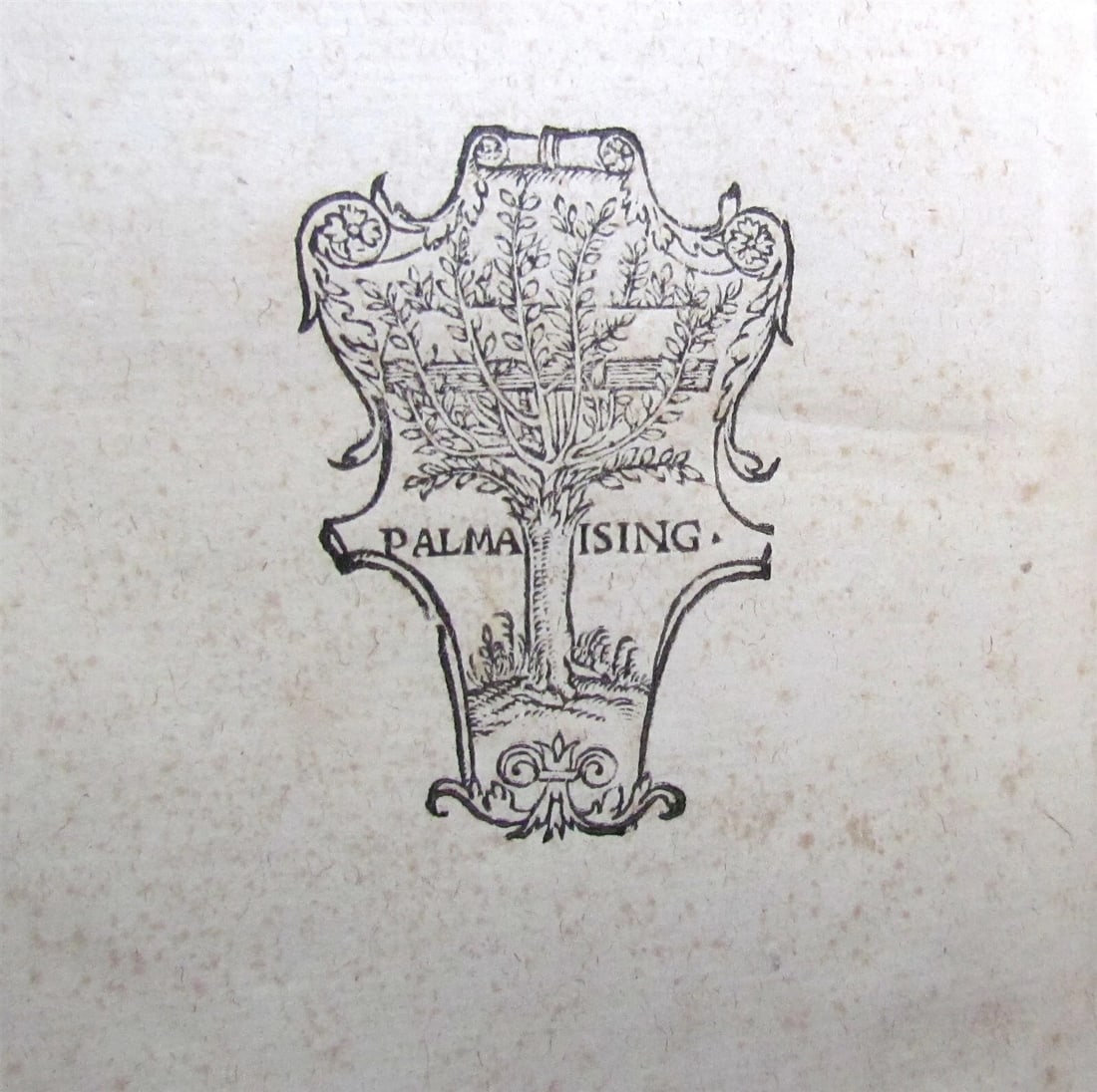 1558 SCANDINAVIA SWEDEN ILLUSTRATED HISTORY Gothorum Sveonumque historia antique - 12