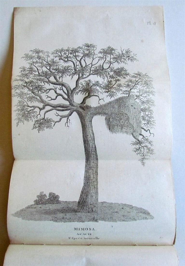 1790 AFRICA TRAVELS Voyages dans le pays des Hottentots ILLUSTRATED antique RARE - 11