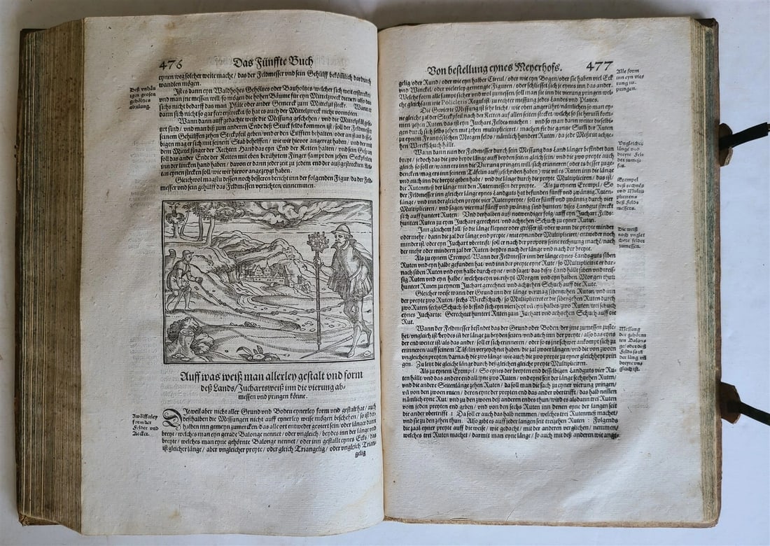 1580 ILLUSTRATED by Tobias Stimmer & J. Amman FOLIO antique HUNTING FALCONRY - 5