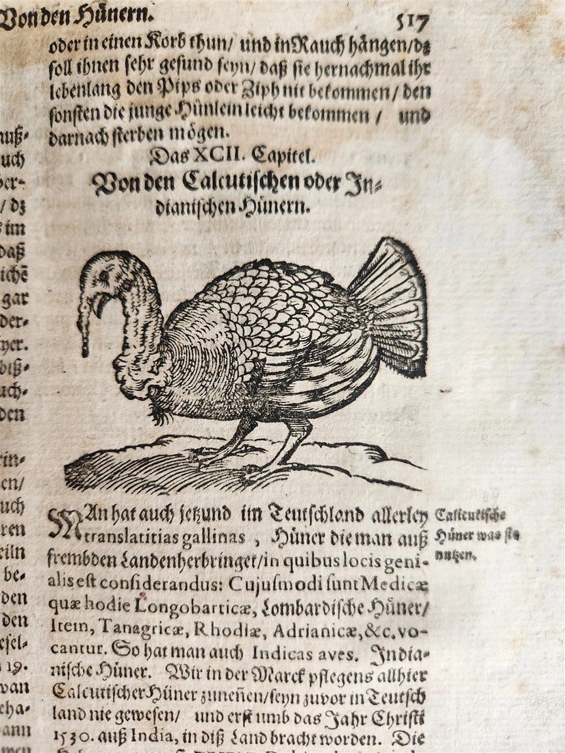 1665 OECONOMIA ILLUSTRATED antique hunting fishing livestock breeding PIGSKIN - 10