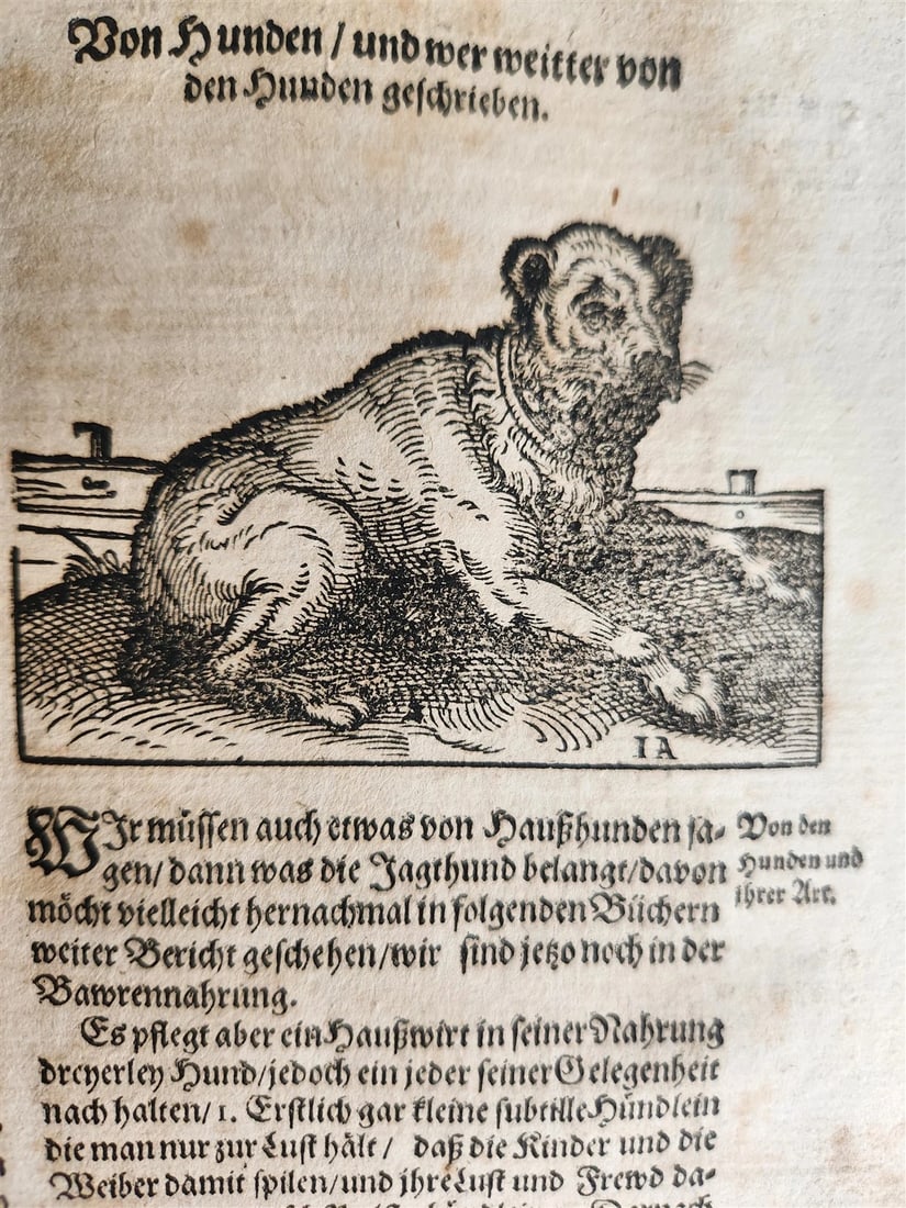 1665 OECONOMIA ILLUSTRATED antique hunting fishing livestock breeding PIGSKIN - 11