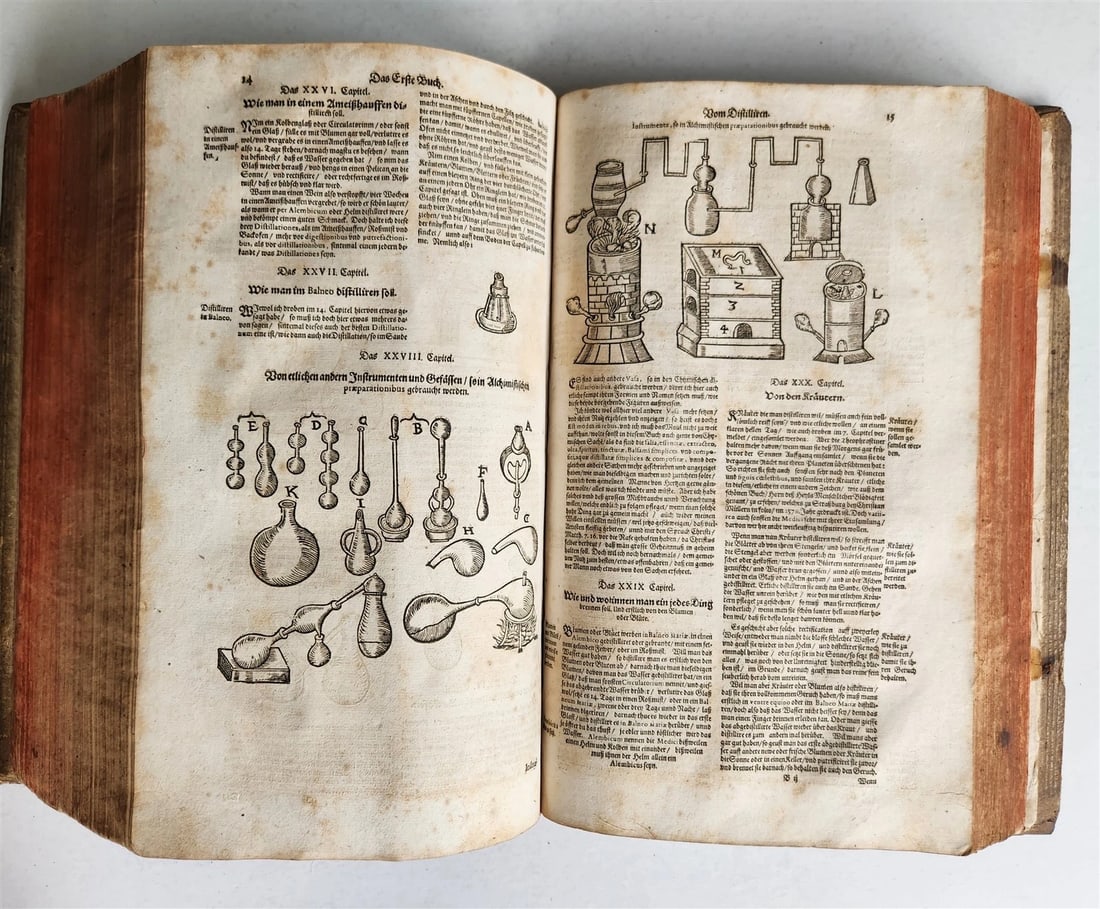 1665 OECONOMIA ILLUSTRATED antique hunting fishing livestock breeding PIGSKIN - 16