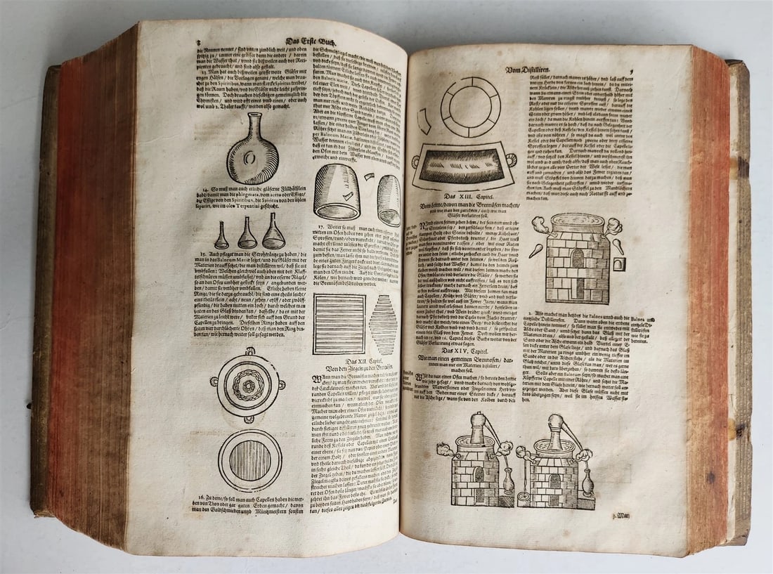 1665 OECONOMIA ILLUSTRATED antique hunting fishing livestock breeding PIGSKIN - 19