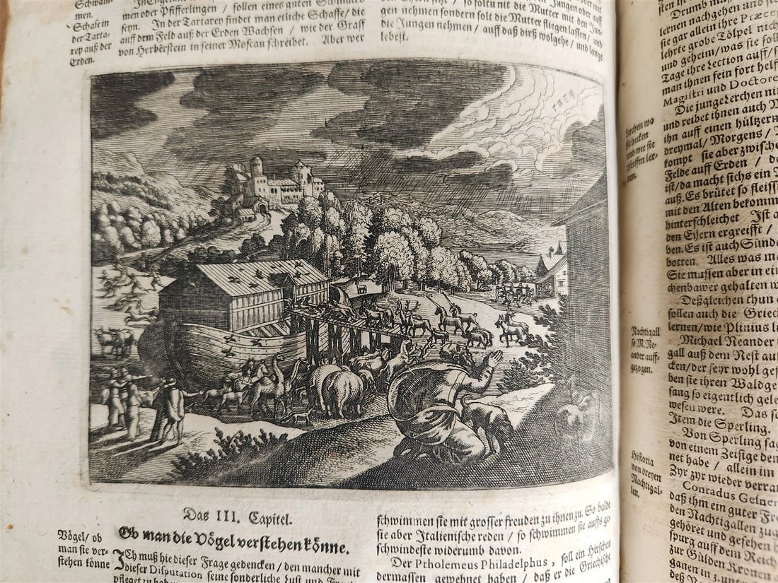 1665 OECONOMIA ILLUSTRATED antique hunting fishing livestock breeding PIGSKIN - 20