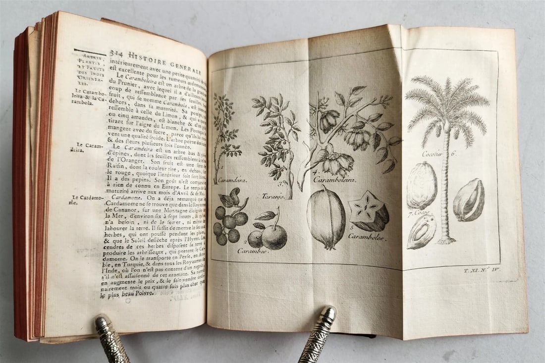 1753 HISTOIRE des VOYAGES antique Vol.44 EAST INDIES TRAVELS illustrated - 10