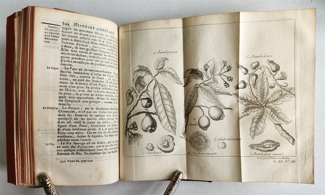 1753 HISTOIRE des VOYAGES antique Vol.44 EAST INDIES TRAVELS illustrated - 12