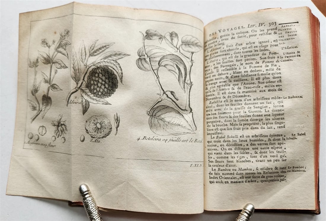 1753 HISTOIRE des VOYAGES antique Vol.44 EAST INDIES TRAVELS illustrated - 8