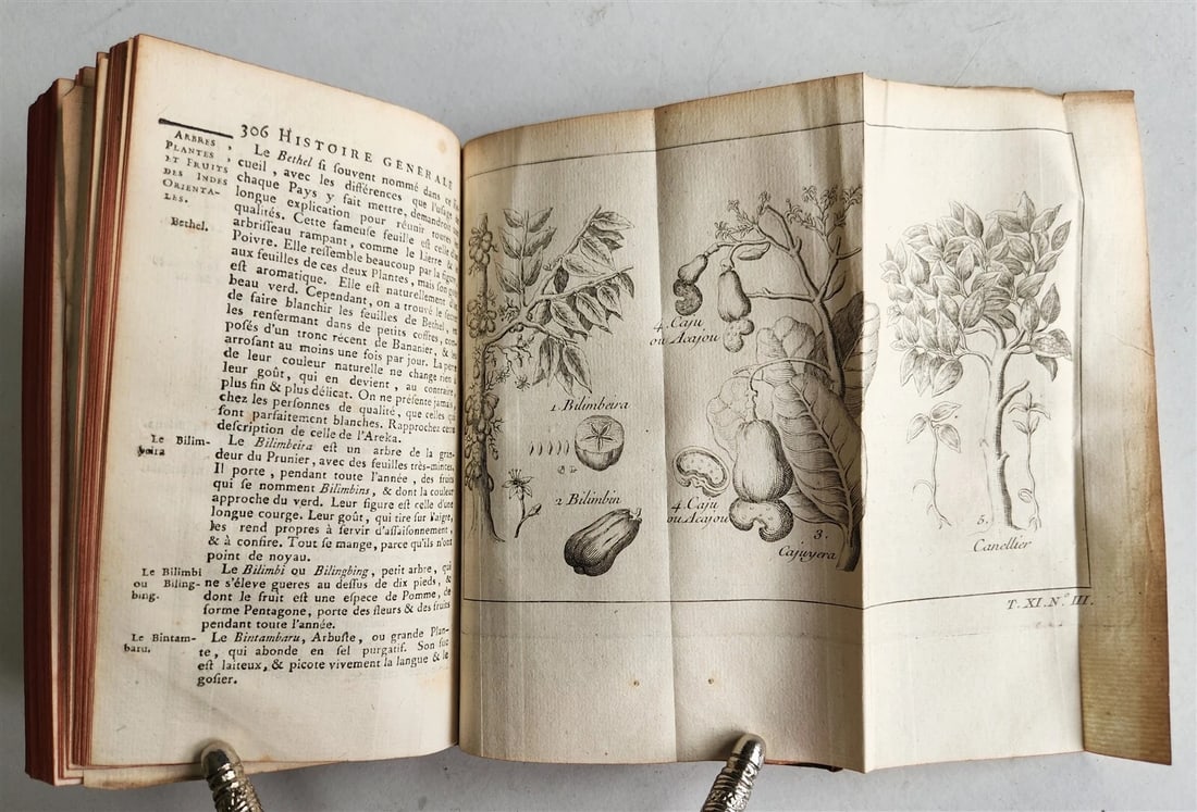 1753 HISTOIRE des VOYAGES antique Vol.44 EAST INDIES TRAVELS illustrated - 9