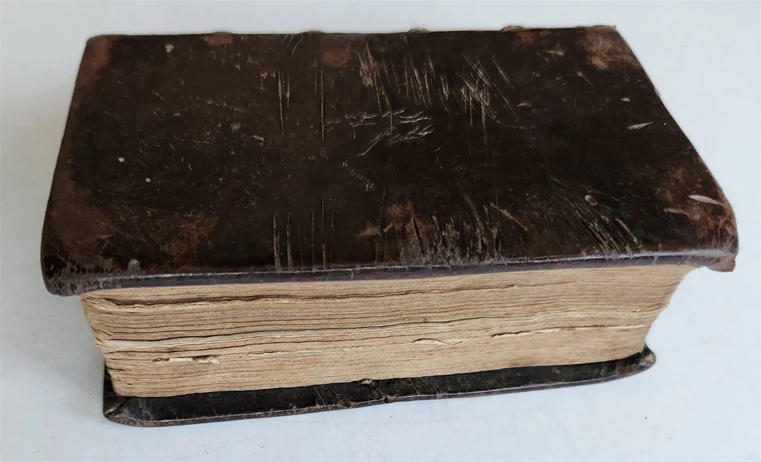 1724 ILLUSTRATED POLITICAL NOVEL antique Joannis Barclaii Argenis - 6