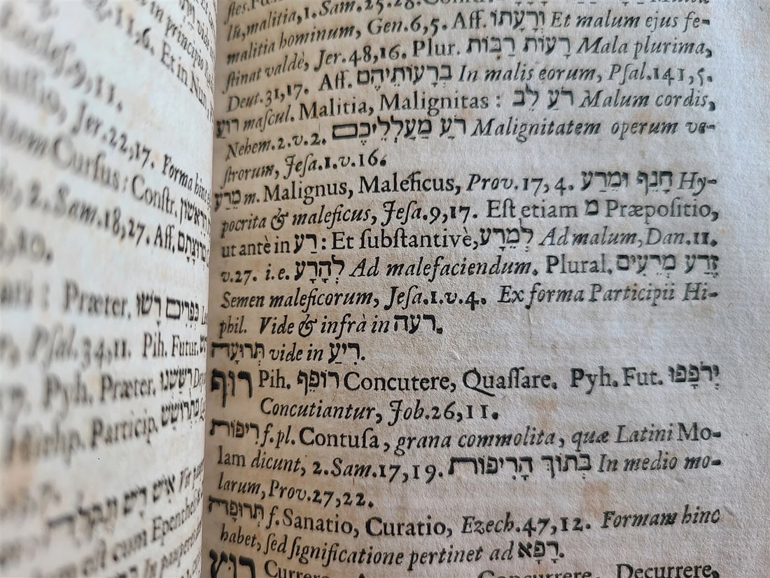 1710 LEXICON HEBRAICUM & CHALDAICUM by BUXTORF ANTIQUE VELLUM BINDING - 10