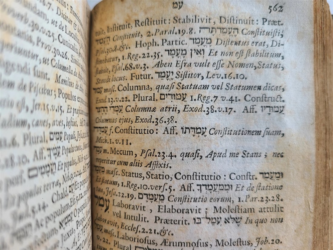 1710 LEXICON HEBRAICUM & CHALDAICUM by BUXTORF ANTIQUE VELLUM BINDING - 9