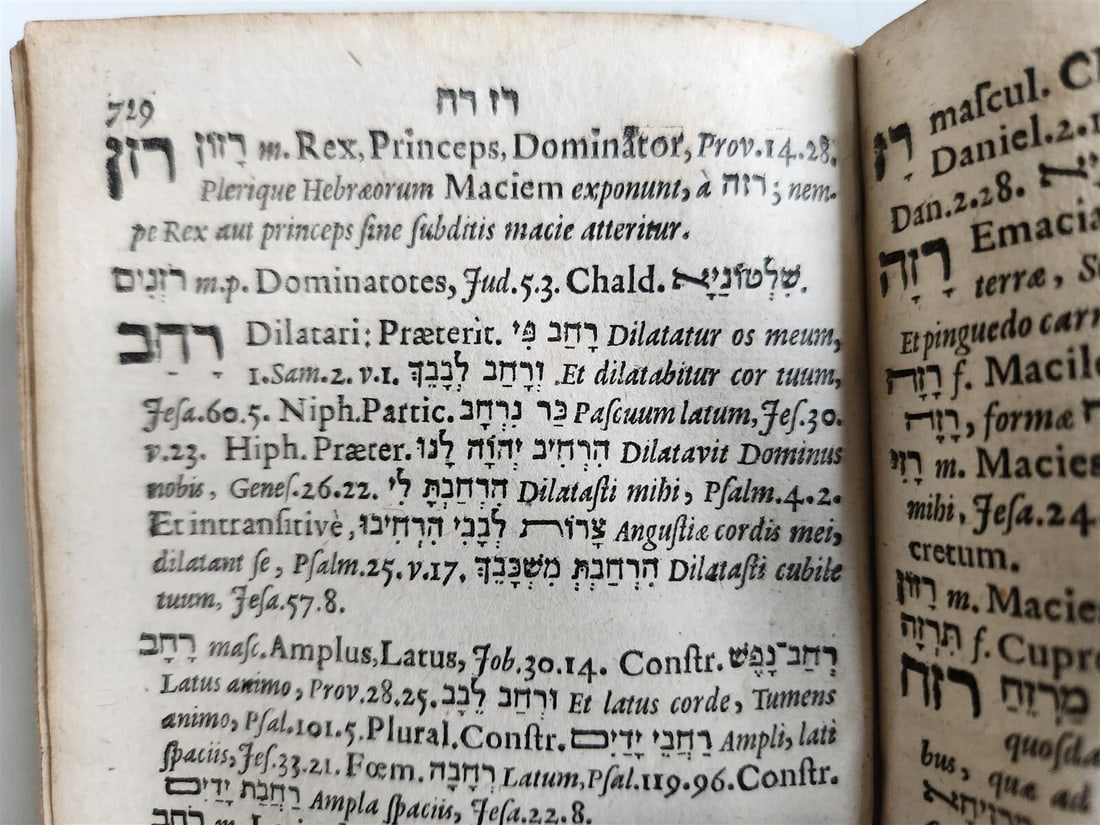 1676 LEXICON HEBRAICUM & CHALDAICUM antique by Johannis Buxtorf Judaica - 7