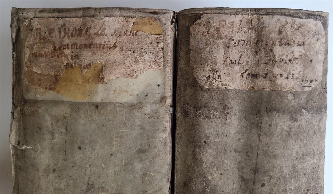 1682 Psalmorum Davidicorum 2 FOLIO VELLUM BOUND VOLUMES antique LATIN BIBLE - 13