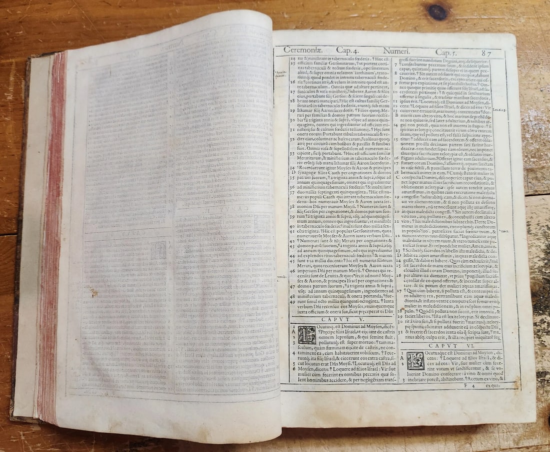 1576 BIBLE in LATIN FULLY ILLUSTRATED antique FOLIO RARE 16th CENTURY BIBLIA - 17