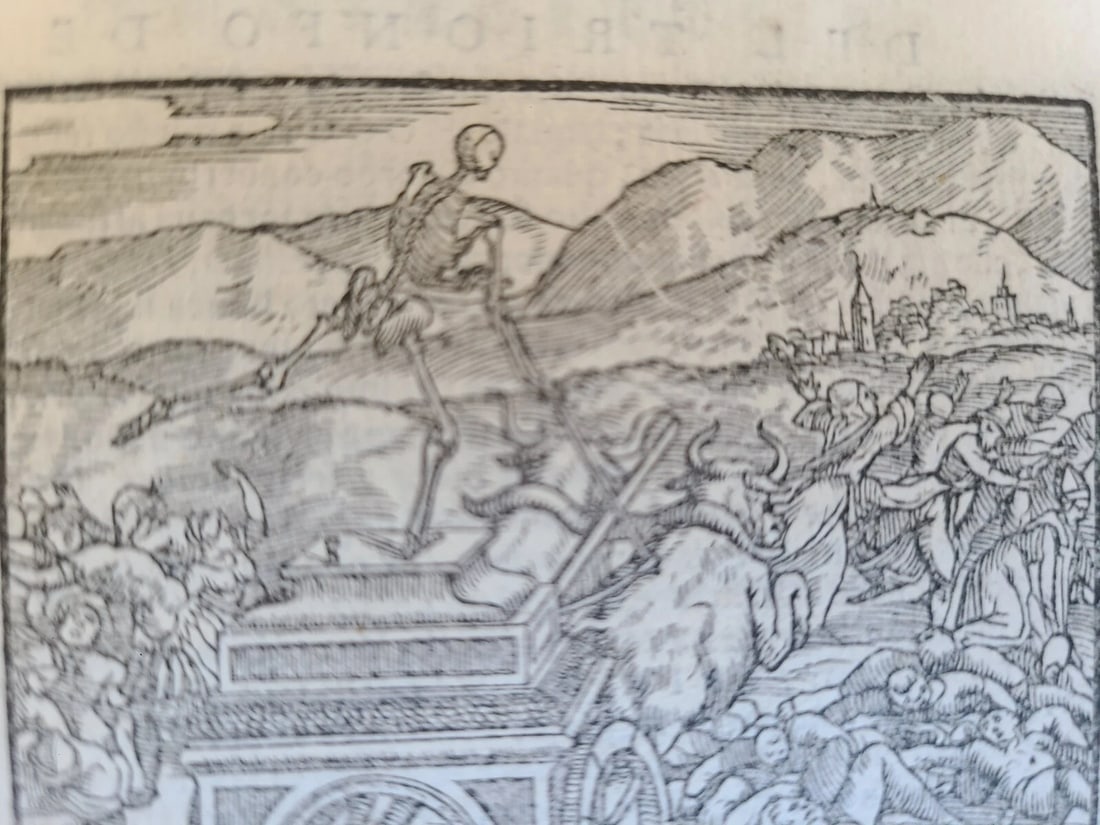 1553 PETRARCH VELLUM BINDING antique Con l'espositione di M. Giovanni Gesualdo - 10