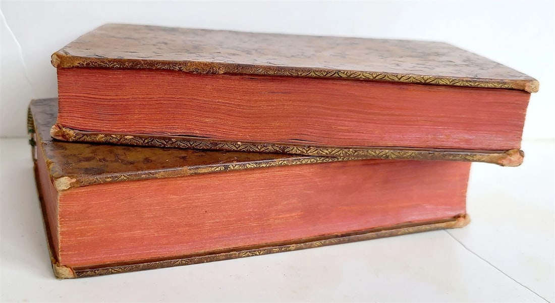 1580 LESSONS of PIERRE MESSIE 2 volumes antique 16th CENTURY in LATIN - 6