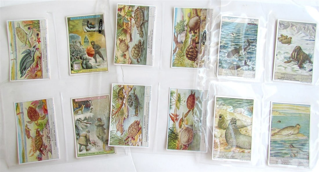 LIEBIG COMPANY 131 TRADE CARDS COLLECTION antique - 6