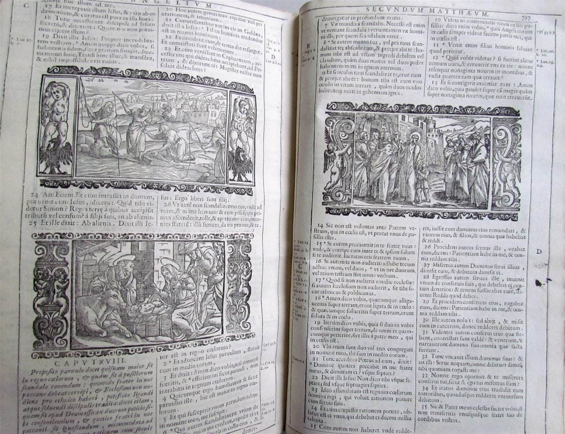 1688 BIBLE ILLUSTRATED BIBLIA SACRA antique VELLUM BOUND - 12