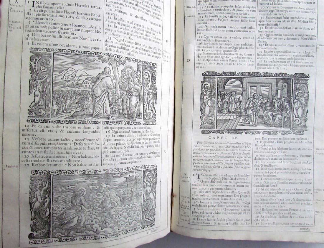 1688 BIBLE ILLUSTRATED BIBLIA SACRA antique VELLUM BOUND - 13