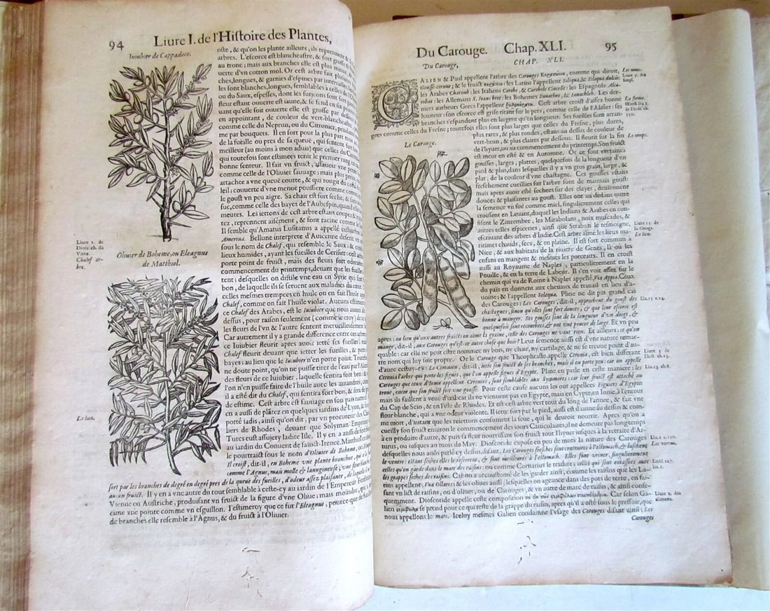 1615 HISTORY of PLANTS by Jacques DALECHAMPS ILLUSTRATED 2 FOLIO VOLUMES antique - 10