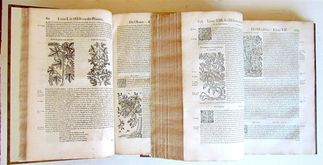 1615 HISTORY of PLANTS by Jacques DALECHAMPS ILLUSTRATED 2 FOLIO VOLUMES antique - 11