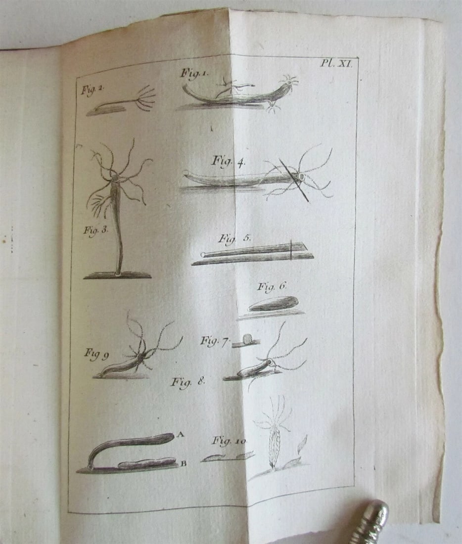 1744 NATURAL HISTORY of the POLYPES ILLUSTRATED w/ 22 engraved plates ANTIQUE - 7