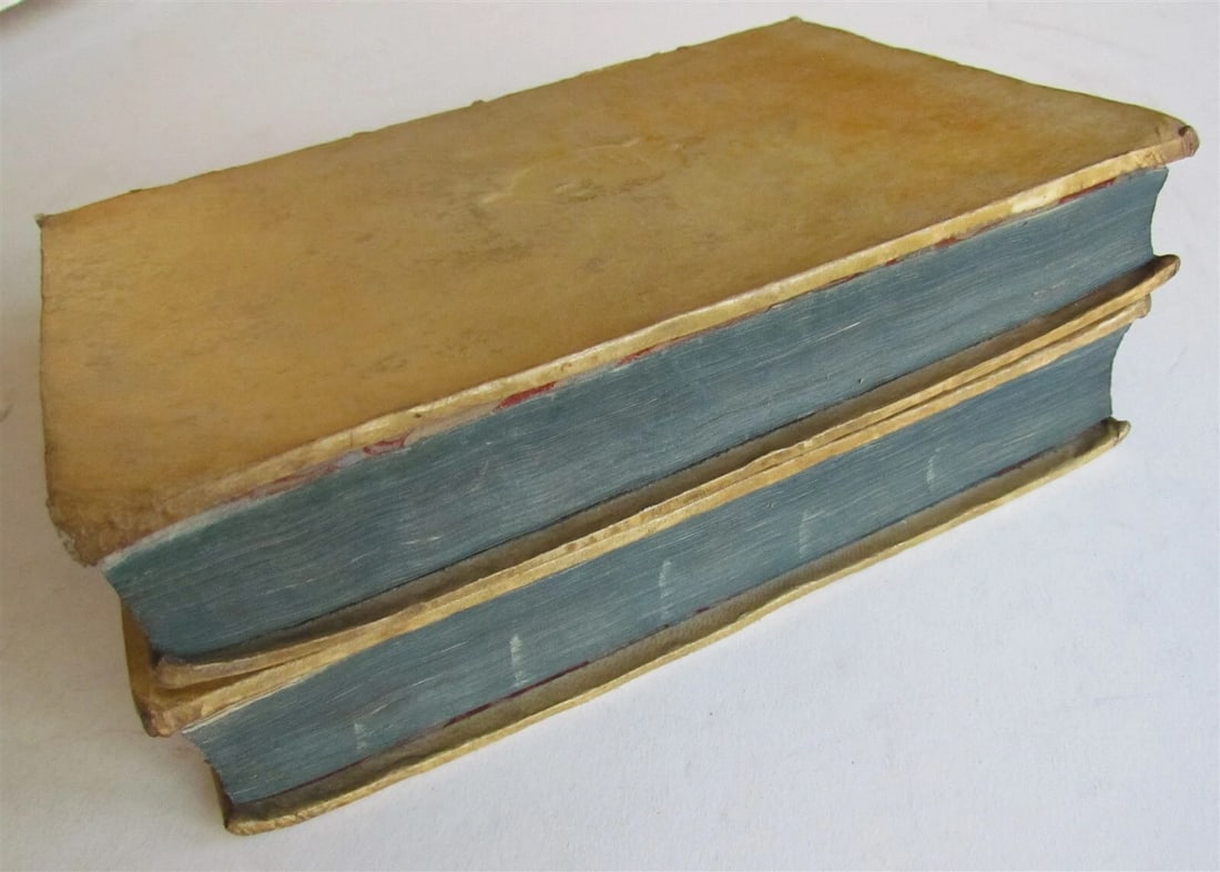 1678 2 volumes HISTORY of AVIGNON VELLUM antique Istoria della Citta' d'Avignone - 9