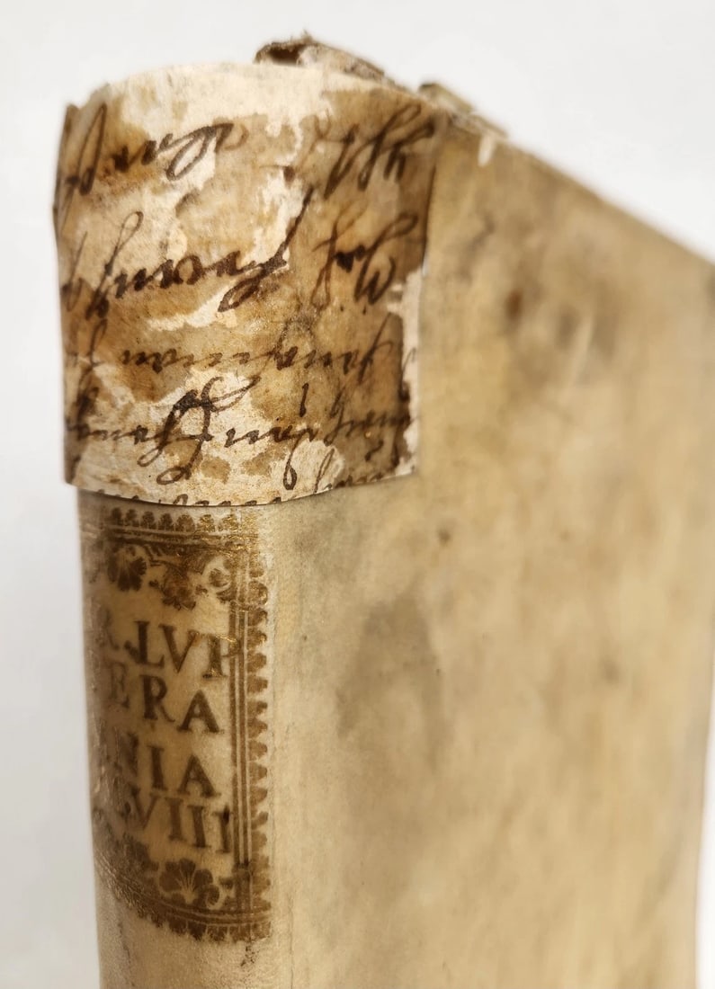 1727 VELLUM BOUND ANTIQUE FOLIO DIVINUM AC IMMOBILE SANCTI PETRI C. LUPUM VENICE - 6