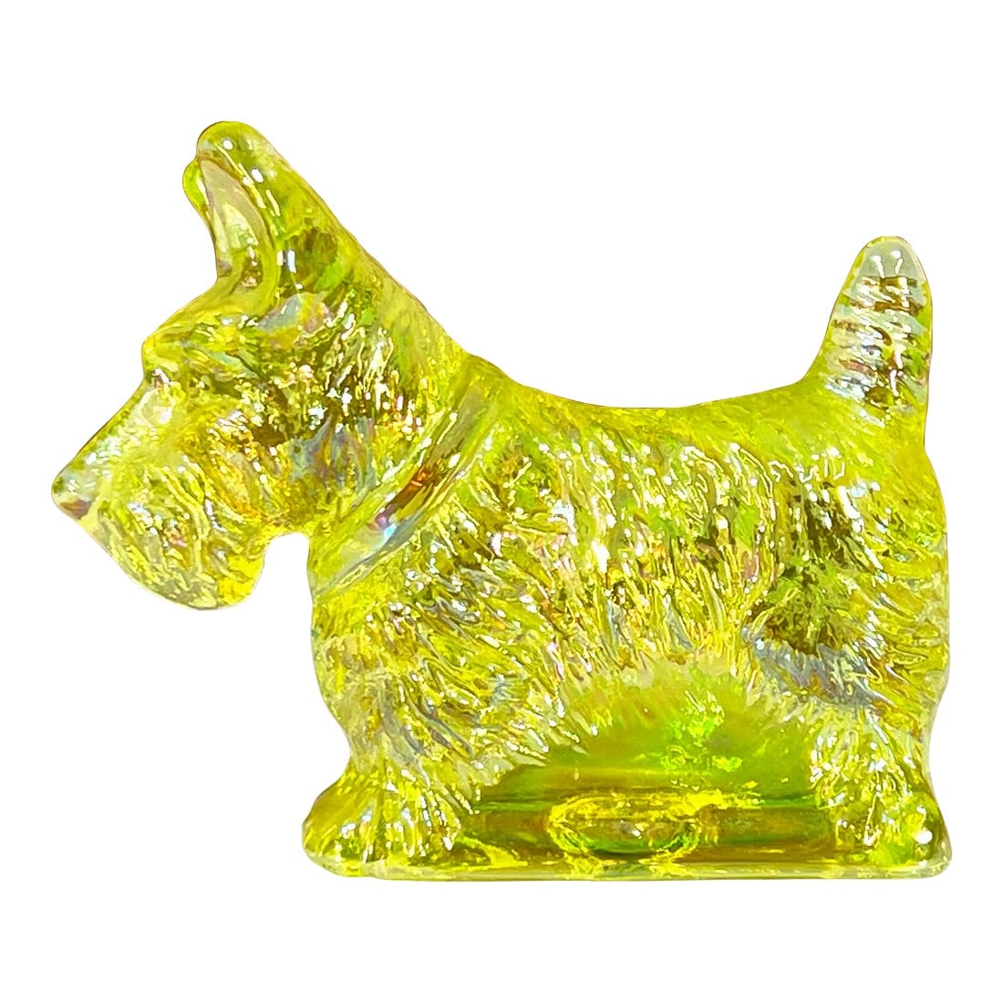 Rare 1930's Yellow Vaseline / Uranium Glass Scottie Dog Paperweight: Look at this stunning vintage c.1930's/40's yellow vaseline glass scottie dog paperweight! It has an awesome rainbow iridescence to it as well, with a very strong UV light reaction as you can see! It