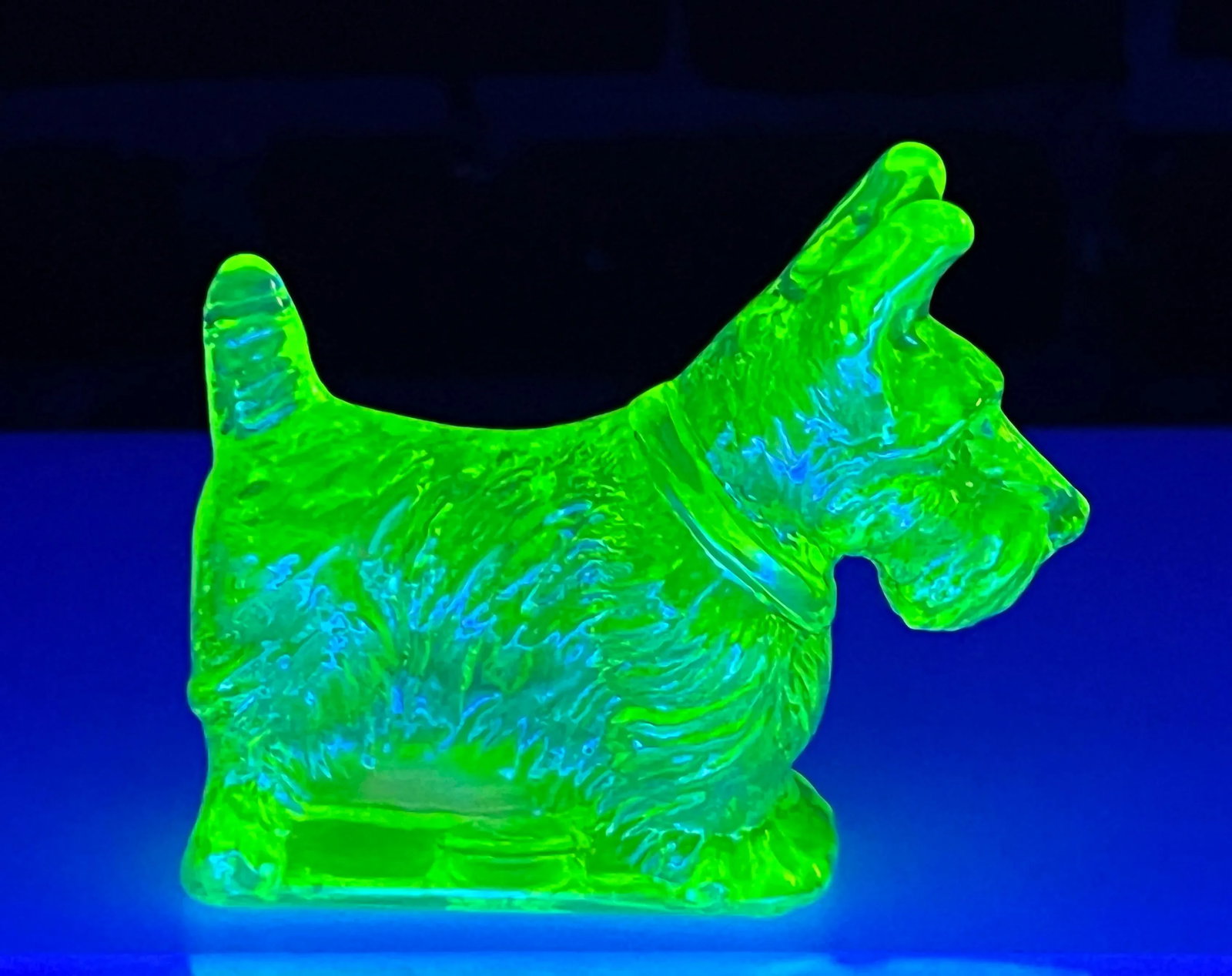 Rare 1930's Yellow Vaseline / Uranium Glass Scottie Dog Paperweight - 3