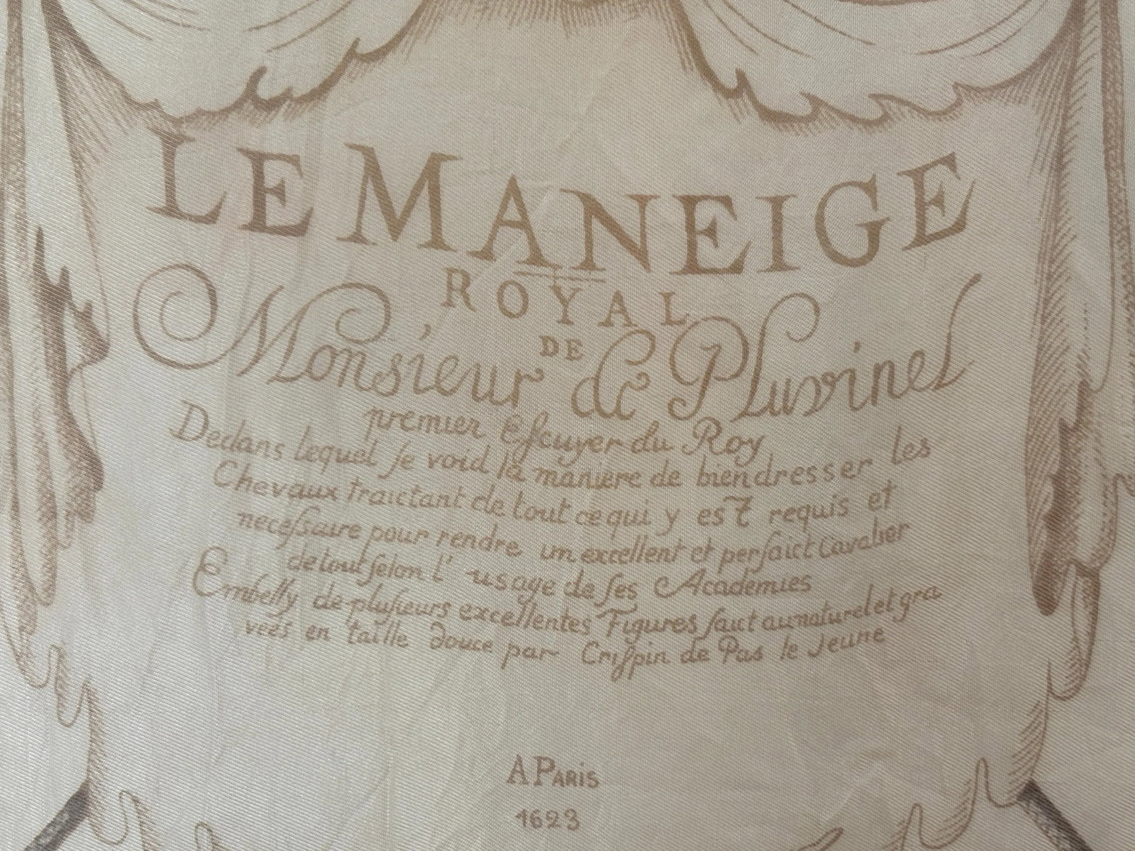 The Maneige Royal by Antoine de Pluvinel Silk Scarf - 5