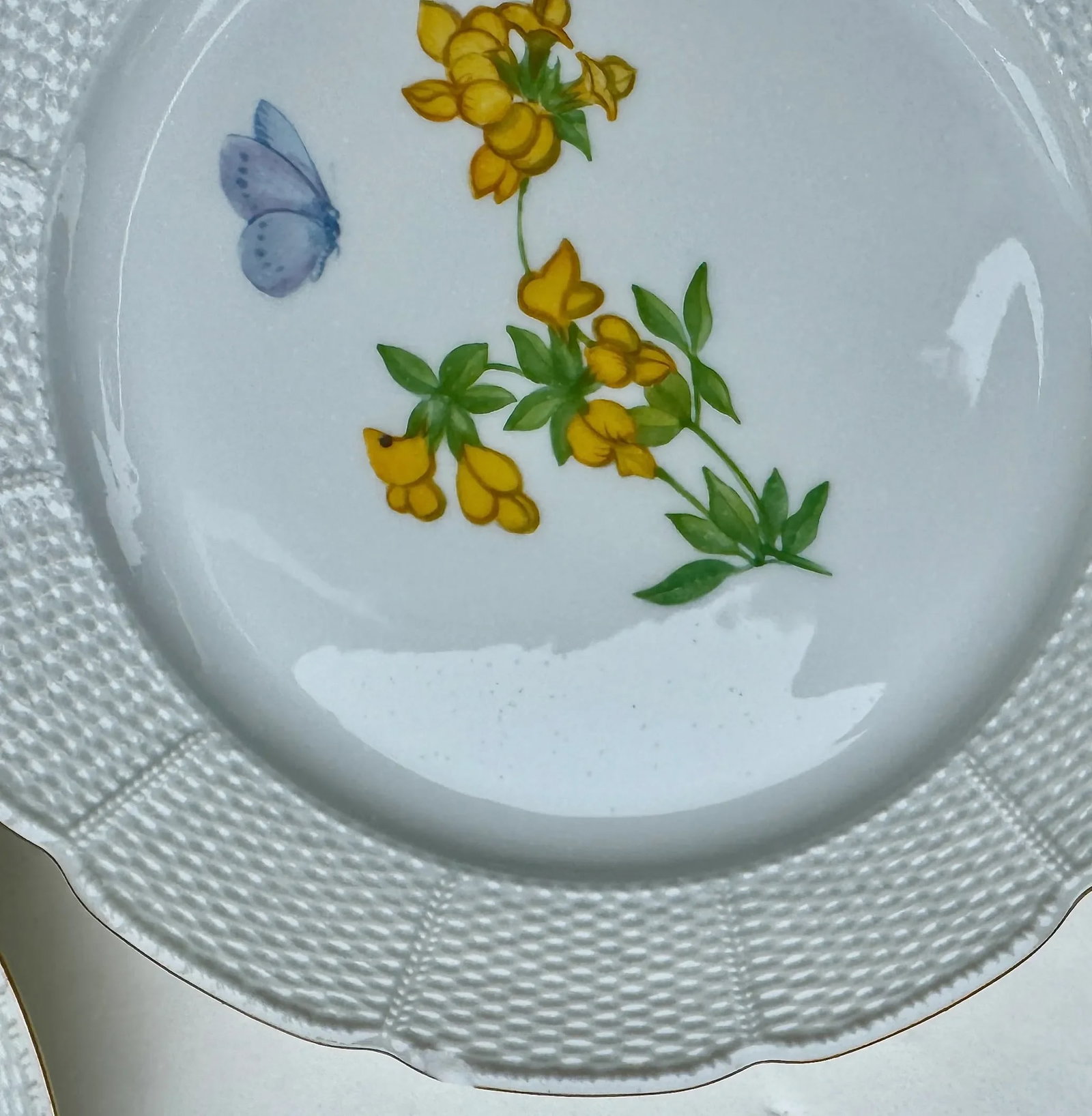 Four Nymphenburg Porcelain Botanical Plates - 11