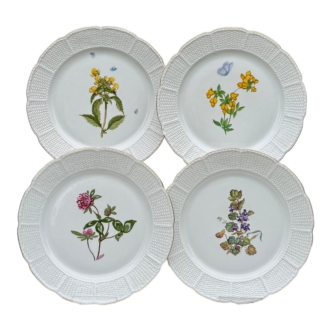 Four Nymphenburg Porcelain Botanical Plates