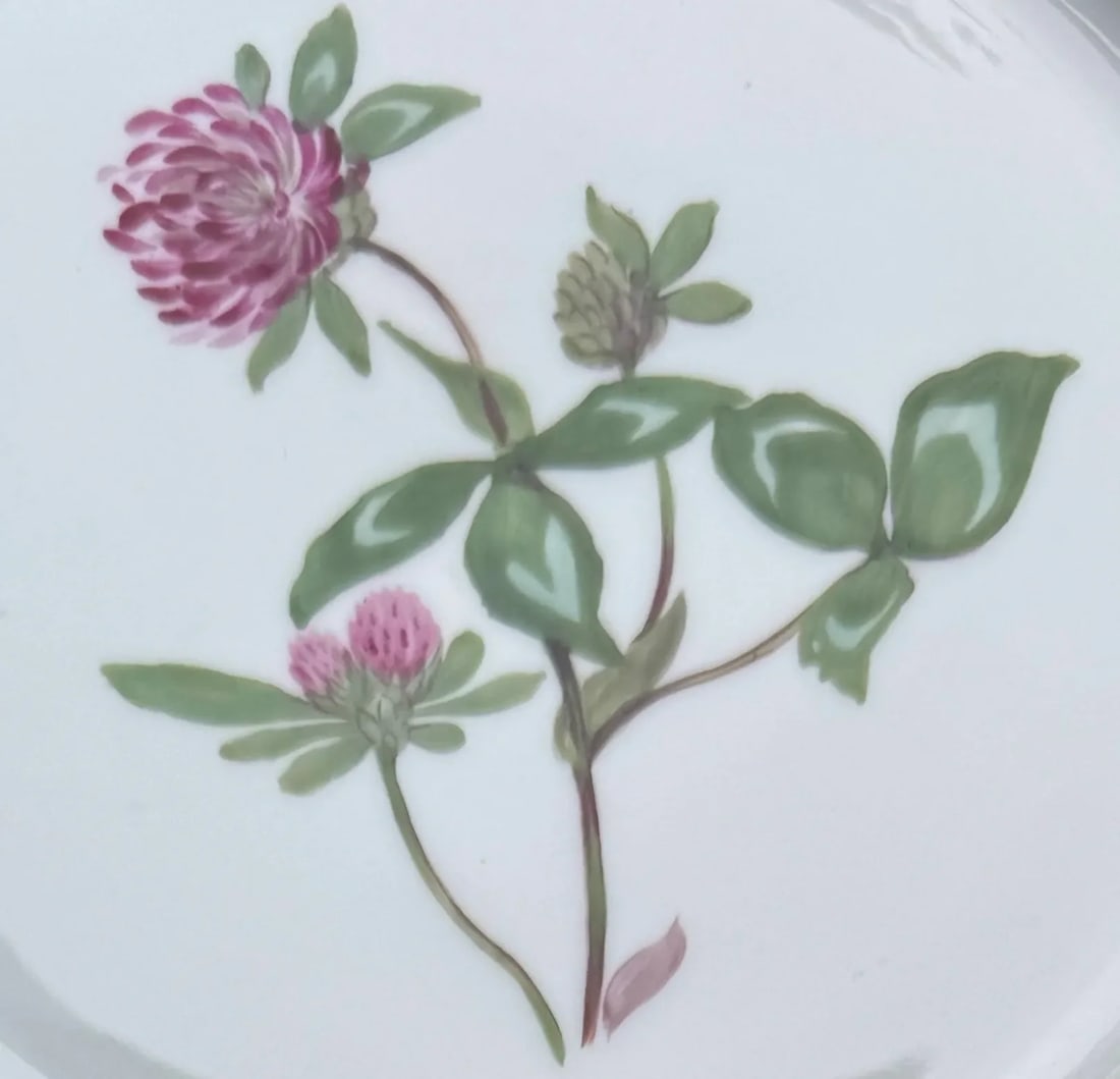 Four Nymphenburg Porcelain Botanical Plates - 2