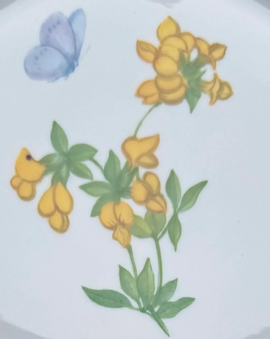 Four Nymphenburg Porcelain Botanical Plates - 3