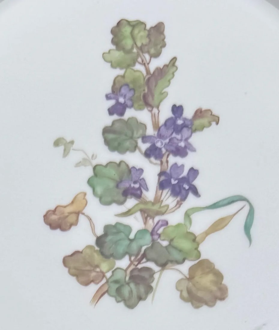 Four Nymphenburg Porcelain Botanical Plates - 5