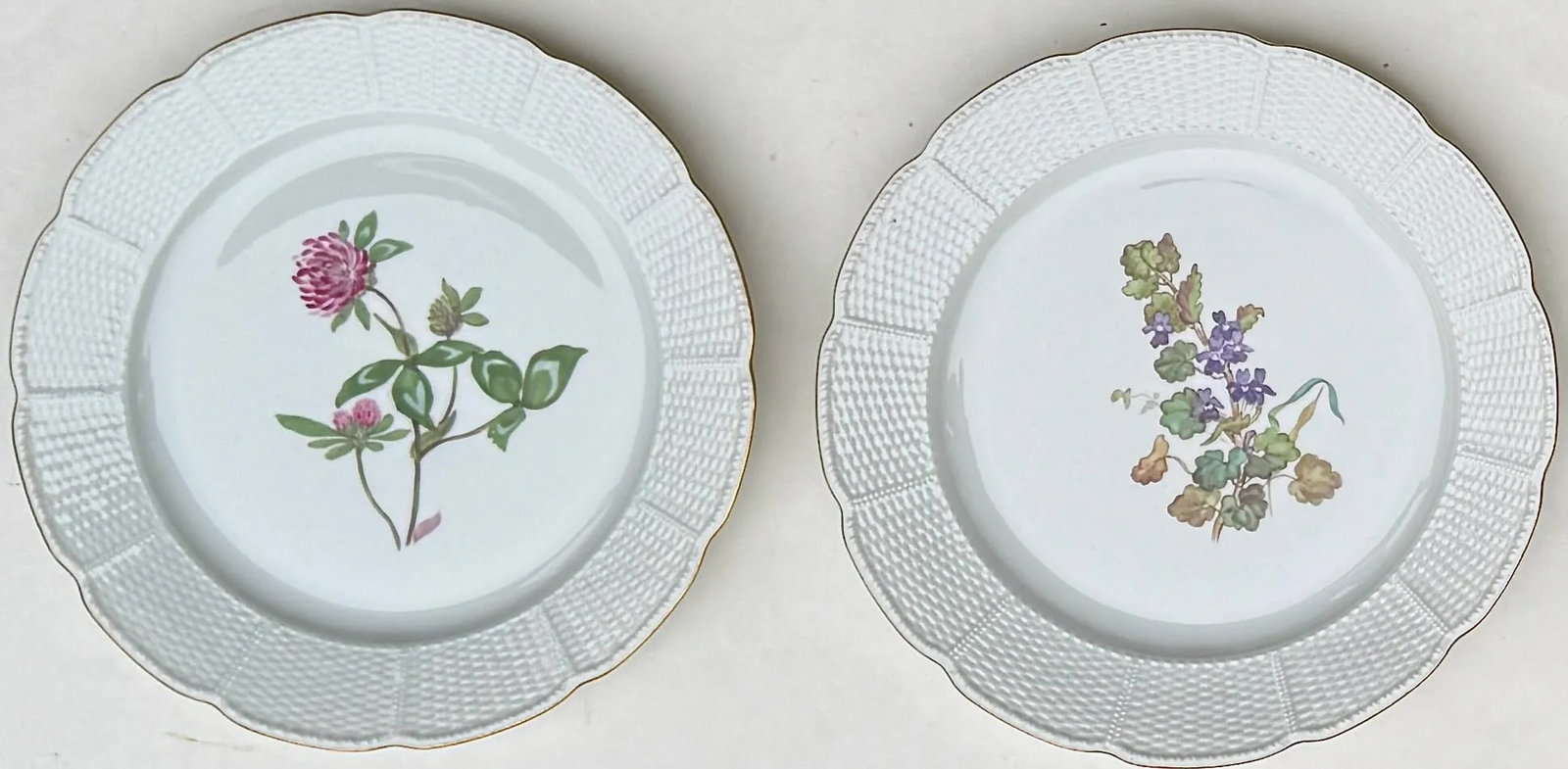 Four Nymphenburg Porcelain Botanical Plates - 6